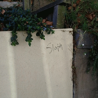 Sloth (USA-2) : It Needs a Few Sprouts